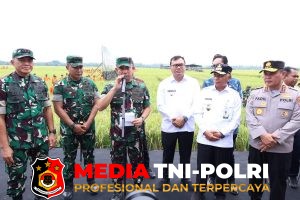 Gugus Tugas Kedaulatan Pangan TNI, Perkuat Ketahanan dan Kemandirian Bangsa