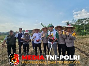 Dukung Ketahanan Pangan Nasional, Polres Bogor Tanam Jagung ke-3 di Lahan Baku Sawah Desa Sirnasari