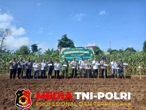 Dukung Program Swasembada Pangan Polsek Caringin Polres Bogor Gelar Penanaman Jagung pipih