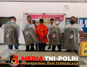 Polda Papua Amankan Warga Negara PNG Kepemilikan 21 Kg Ganja