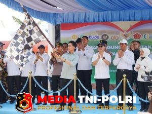 Tanam Serentak, 1.268 Ton Jagung Dilepas Polri untuk Bulog