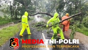 Respon Cepat Polisi dan BPBD Evakuasi Pohon Tumbang, Jalur Magetan – Bendo Kembali Lancar