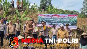 Polsek Babakan Madang Polres Bogor Tanam Jagung Hibrida Dukung Program Ketahanan Pangan