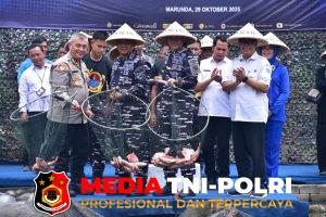 Pasmar 1 Ikuti Kegiatan Panen Raya Tegaskan Komitmen Ketahanan Pangan