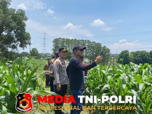 Kombes Pol Mustofa, S.I.K., M.H Kapolres Metro Bekasi Dorong Petani Lokal Jaga Produktivitas Lahan Ketahanan Pangan Polda Metro Jaya