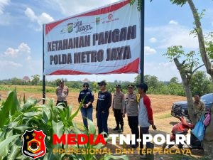 Kapolres Metro Bekasi Dorong Petani Lokal Jaga Produktivitas Lahan Ketahanan Pangan Polda Metro Jaya