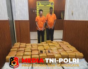 Timsus Ditresnarkoba Polda Sumut Gagalkan Peredaran 255 Kg Ganja Asal Aceh, Dua Kurir Ditangkap