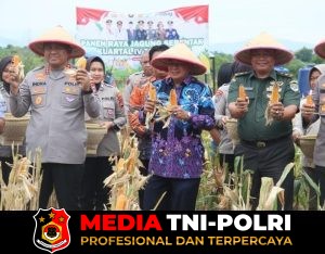 Panen Jagung di Bantar Panjang Buktikan Program Ketahanan Pangan Berjalan