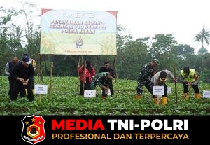 Polres Bogor Laksanakan Penanaman Jagung Serentak Kuartal I Dukung Ketahanan Pangan Nasional