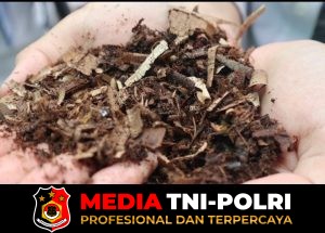 Rutan Kelas I Tangerang Kembangkan Budidaya Maggot Dukung Program Kemandirian Pangan