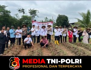 Polsek Tigaraksa Laksanakan Program Ketahanan Pangan Penanaman Jagung Hibrida 1 Desa 2 Hektar Bersama BUMDes PEMA