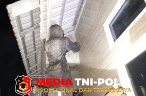 Damkar Kotim Evakuasi Sarang Tawon Vespa di Teras Rumah Warga