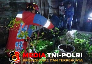 Damkarmat Kotim Evakuasi Ular Sanca Kembang di Kandang Ayam Warga