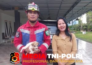 Anak Anjing Terjebak di Kolong Mobil, Damkarmat Kotim Lakukan Evakuasi