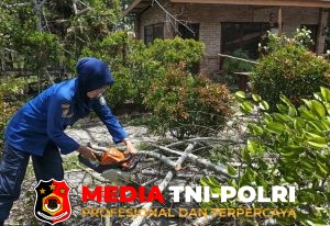 Damkar Kotim Evakuasi Pohon Tumbang di Cafe Brenzeel Sampit