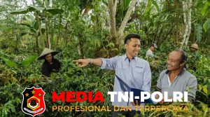 Kinerja Keuangan Terjaga, Jamkrindo Perluas Dukungan bagi UMKM dan Koperasi