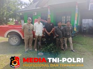 Warga Serahkan Trenggiling Dilindungi ke BKSDA, Diamankan di Pos Sampit