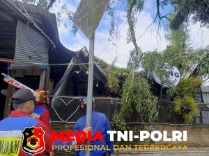 Damkarmat Kotim Tangani Pohon Tumbang di Jalan S. Parman Sampit