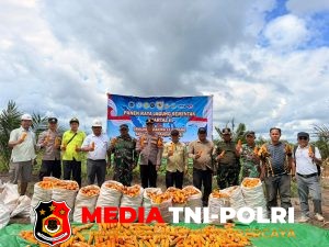 Kapolsek Hanau Hadiri Panen Raya Jagung Serentak Kuartal II di PT Tapian Nadenggan