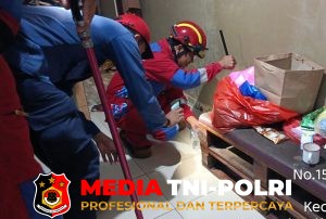 King Kobra Masuk Rumah Warga, Damkarmat Kotim Lakukan Evakuasi Cepat