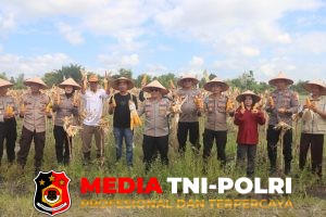 Kapolres Kotim Hadiri Panen Jagung Kwartal II 2026 di Mentawa Baru Ketapang