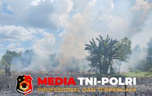 Karhutla Seluas 0,5 Hektare di Baamang Berhasil Dipadamkan, BPBD Kotim Catat 49 Kejadian Sepanjang 2026