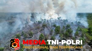 Tim Posko Karhutla Kotim Padamkan Kebakaran Lahan 2 Hektare di Jalan Amin Klaru