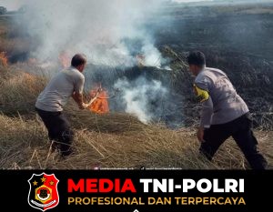 Personel Polsek Pontang Bergerak Cepat Padamkan Kebakaran Lahan Sawah di Desa Linduk
