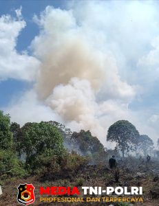 Kebakaran Lahan Terjadi di Baamang Hulu, BPBD Kotim Kerahkan Water Tanki Cegah Perluasan Api