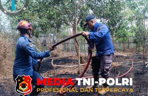 Lahan Kosong di Baamang Tengah Terbakar, Damkarmat Kotim Berhasil Padamkan Api dalam 30 Menit