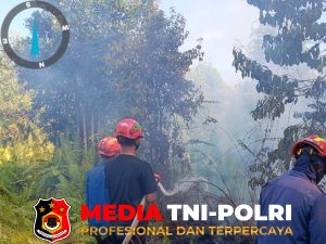 Damkarmat Kotim Berhasil Padamkan Karhutla di Kawasan Wengga Metropolitan Sampit