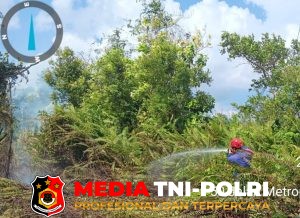 Karhutla di Perumahan Mahardika Sampit, Damkarmat Kotim Bergerak Cepat