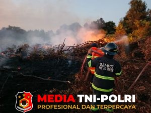 Damkarmat Kotim Lokalisir Kebakaran Lahan di Perumahan Jalan Tidar Sampit