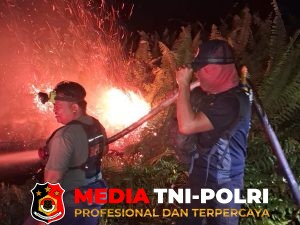 BPBD Kotim Berhasil Kendalikan Kebakaran Lahan Gambut di Baamang, Luas Terbakar Capai 1 Hektare