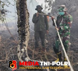 BKSDA Sebut Belasan Satwa Liar Mati Akibat Karhutla di Kotim, Ular Paling Banyak Ditemukan