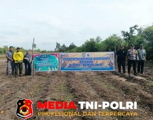 Bhabinkamtibmas Bersama Pemdes Asam Baru dan Kelompok Tani Tanam Jagung di Lahan 2 Hektar