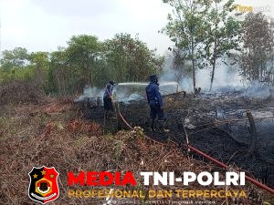Kebakaran Semak Belukar di Ketapang Berhasil Dipadamkan, Luas Area Capai 1,5 Hektare