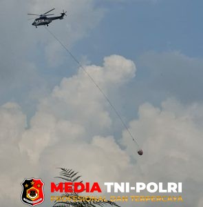 91 Hotspot Terdeteksi, Karhutla di Kalimantan Tengah Capai 18 Kejadian dalam Sehari