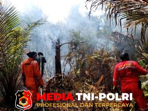 Peduli Wilayah, Babinsa MB Ketapang dan Baamang Turut Membantu Penanganan Karhutla di Kab. Kotim