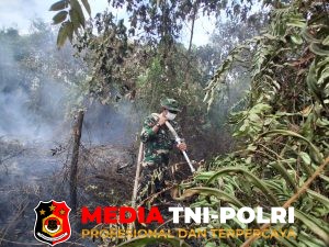 Gerak Cepat, Kodim 1015/Sampit Padamkan Api Kebakaran Hutan dan Lahan