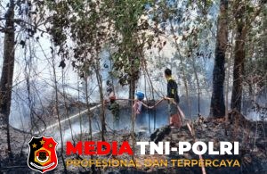 Kebakaran Lahan 4 Hektare di Seruyan Hilir Timur Berhasil Dipadamkan Tim Gabungan