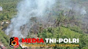 Damkarmat Kotim Padamkan Kebakaran Lahan Kosong Seluas 1,5 Hektare di Baamang Hulu