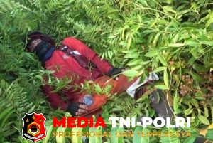 Personel BPBD Kotim Mulai Kelelahan Tangani Karhutla, Laporan Capai 30 Titik per Hari