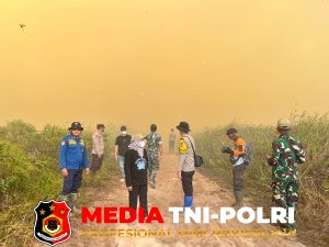 Kebakaran Lahan Seluas 30 Hektare Terjadi di Desa Jaya Kelapa