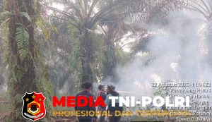 Tiga Titik Hotspot di Hanau Ditangani Tim Gabungan Satgas Karhutla