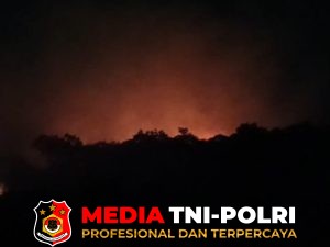 Puluhan Hektare Lahan Warga di Luwuk Bunter dan Sungai Paring Terbakar, Warga Padamkan Api Secara Swadaya