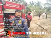 Karhutla - Dua Kali Karhutla Terjadi di Samuda, Total Sekitar 8 Hektare Lahan Terbakar