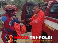 Damkar Kotim - Damkar Kotim Evakuasi Sarang Tawon Vespa di Perum Kencana Asri