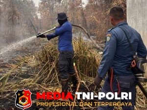 Gerak Cepat, Kebakaran Lahan di Baamang Hulu Berhasil Dipadamkan Damkarmat Kotim