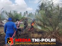 Karhutla - Respons Cepat, Karhutla di Kuala Pembuang II Berhasil Dipadamkan Tim Gabungan